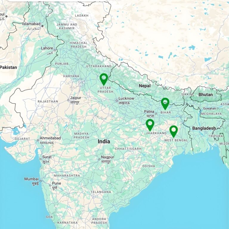 whatsapp image 2025 11 19 at 11.46.10 pm