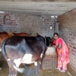 arti devi testimonial