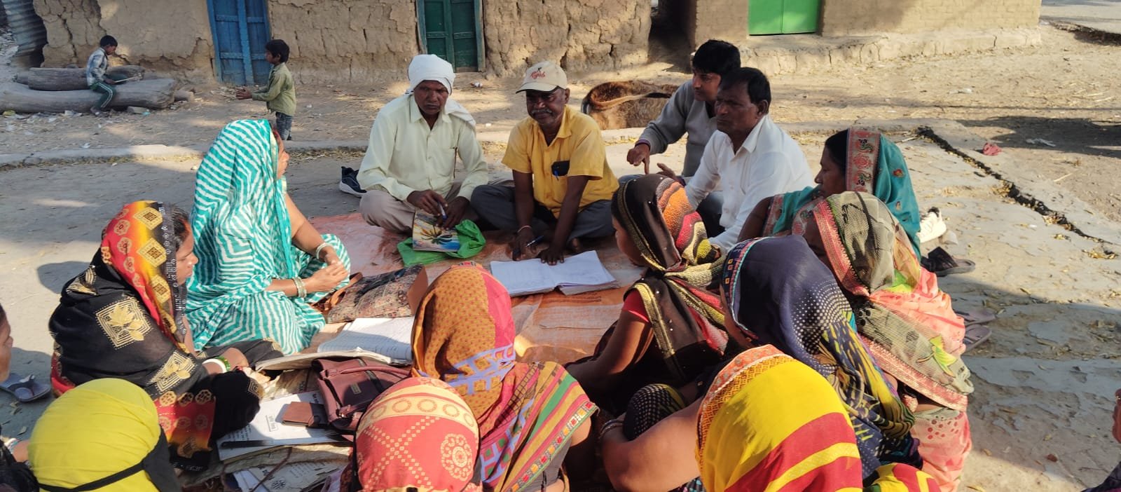 community institution