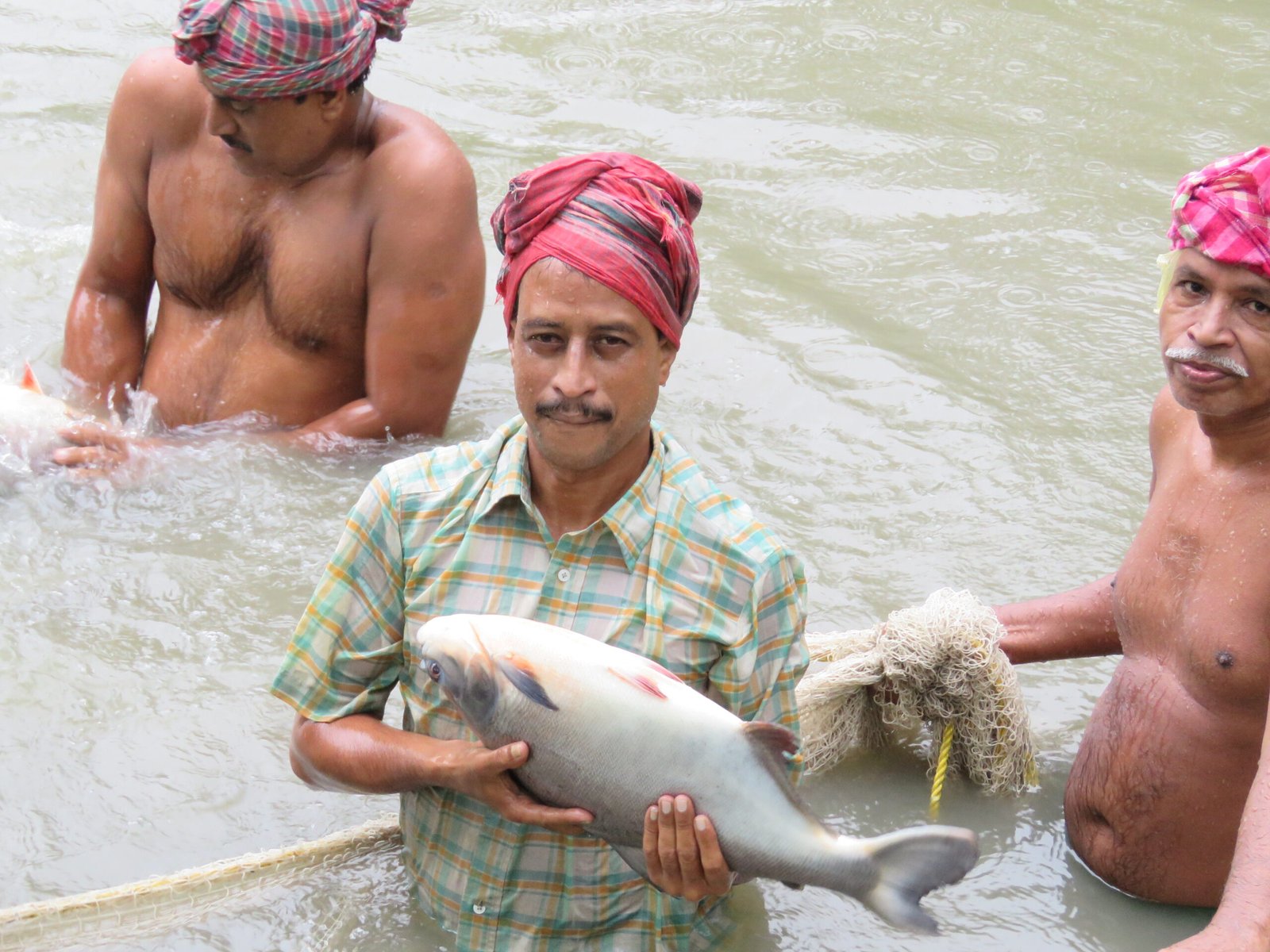 livelihood promotion