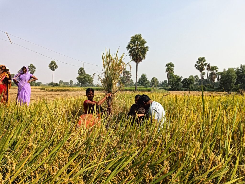 home about jugalbandi