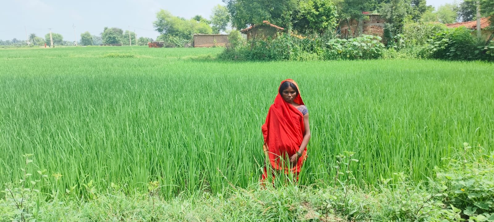 what we do agriculture & allied activities (1)