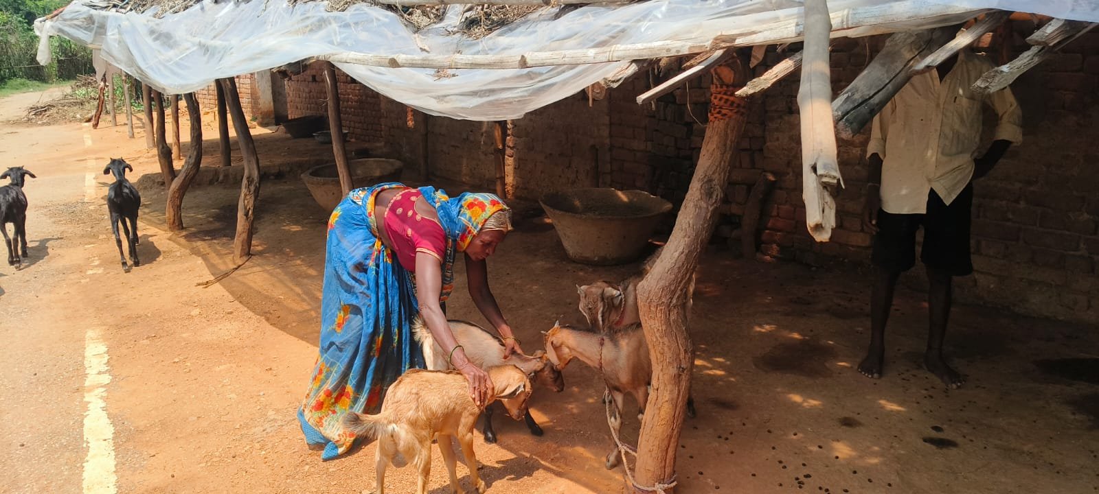 what we do agriculture & allied activities (2)