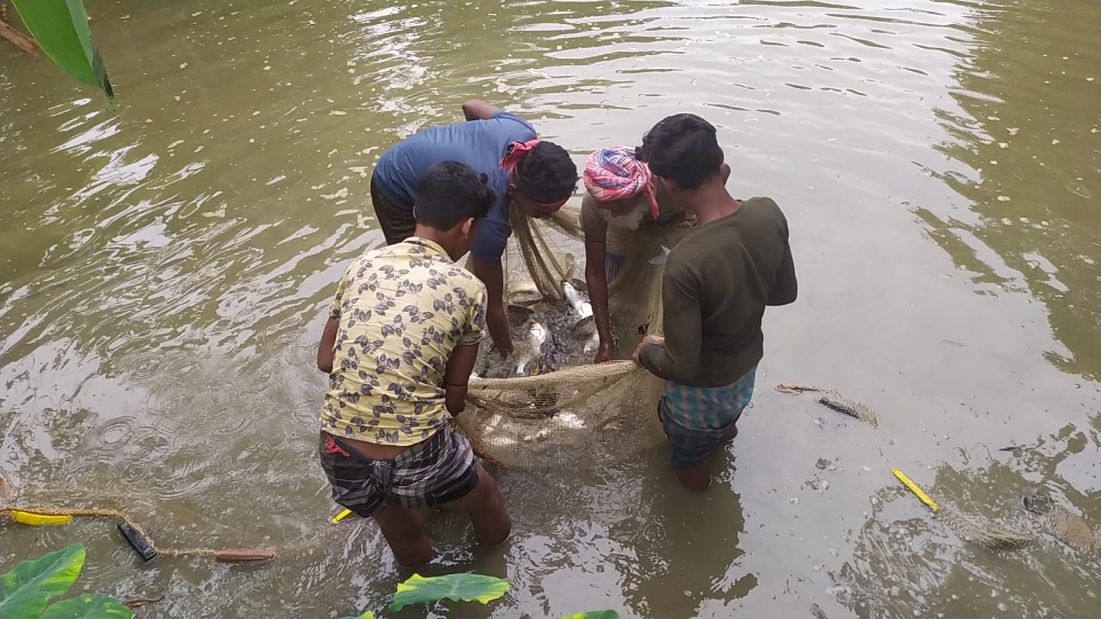 what we do agriculture & allied activities (3)