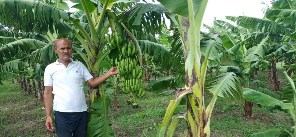 who we are our journey 2022 23 scaling up & strategic focus