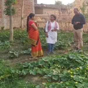Natural and organic farming demonstrations